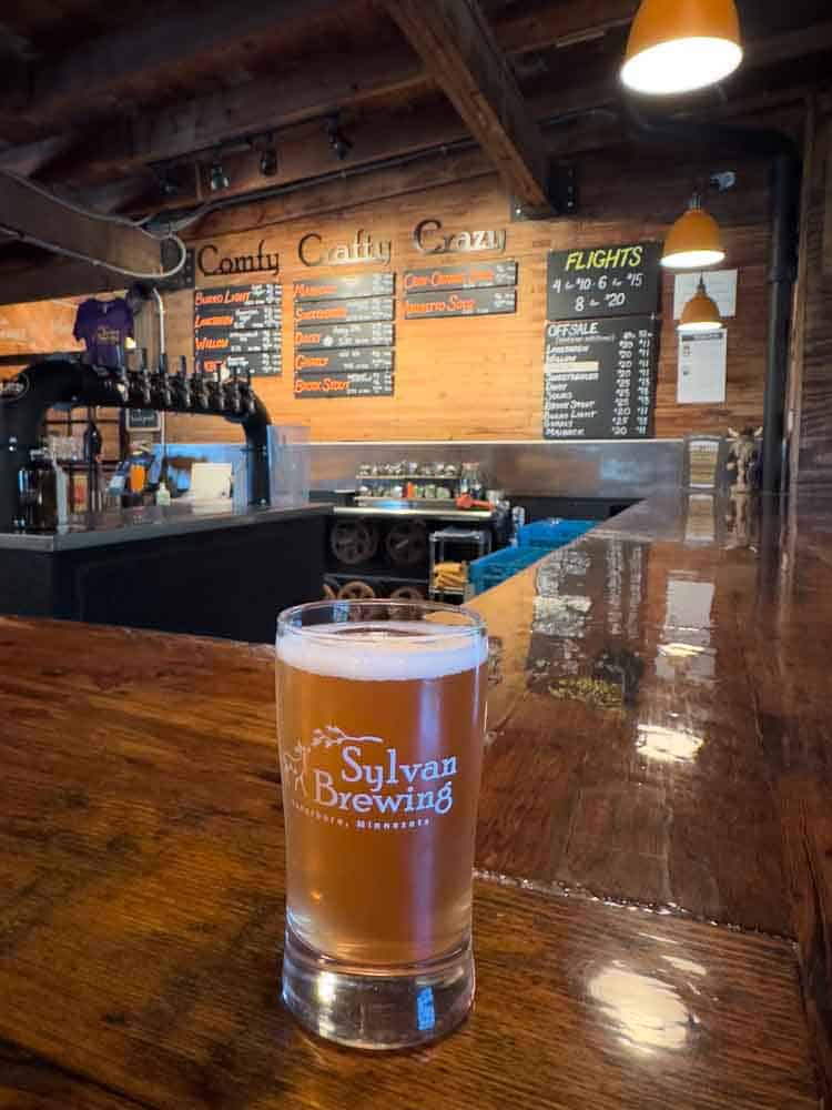 Cream Ale craft beer at Sylvan Brewing, cozy rustic bar interior with wooden accents, menu boards, and warm lighting, ideal for beer lovers and relaxed social gatherings.