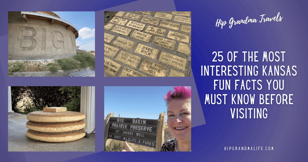 Big Kansas state monument and historic signage at Big Basin Prairie Preserve; unique roadside decor featuring oversized baked cookies; cheerful traveler with pink hair exploring Kansas landmarks.