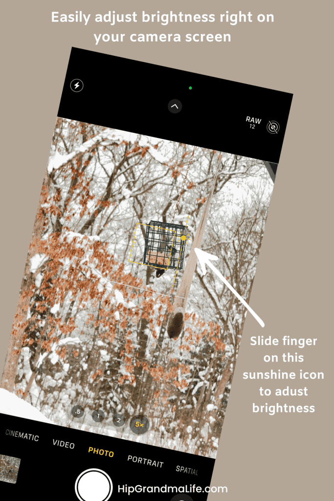 Adjust camera brightness on your phone for better outdoor photos in winter landscapes.