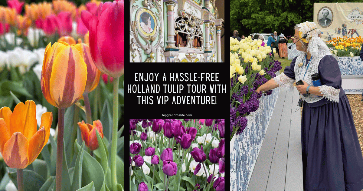 Colorful tulips in a vibrant flower garden, perfect for springtime and floral tours in Holland.