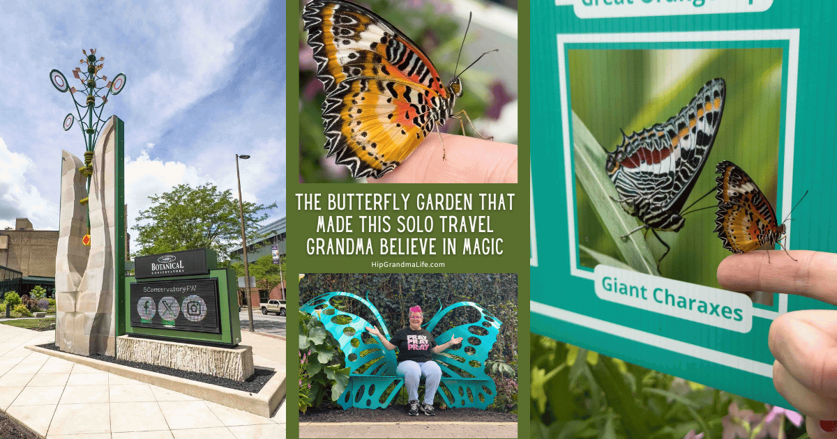 Vibrant butterfly-themed sculptures and signage at the Botanical Garden, highlighting the butterfly garden experience that inspires solo travel and magical moments for grandmas.