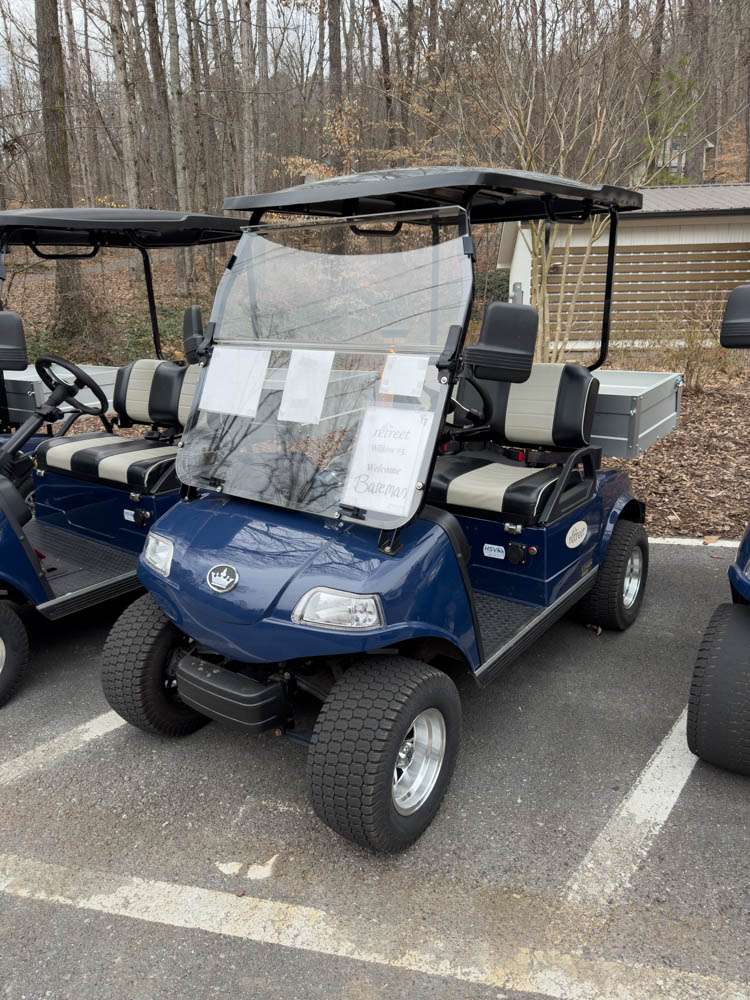 Comfortable navy blue golf cart with beige seats, perfect for outdoor leisure activities and family outings. Featuring a sturdy frame, spacious cargo area, and ideal for senior recreation.