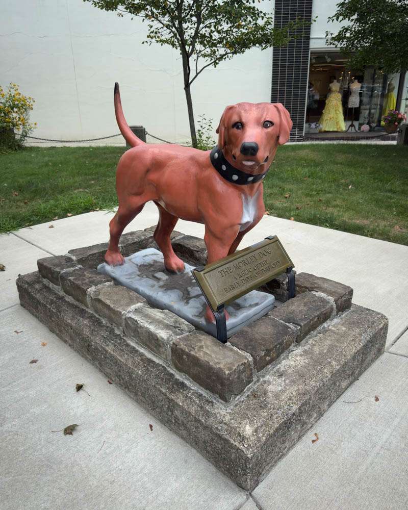 Happy Dog Statue on Pedestal with Plaque at the Dog Park, showing a playful and charming dog sculpture themed for dog lovers.