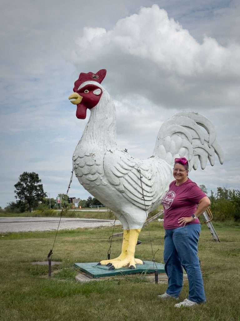 Giant rooster statue in Warren, Indiana, standing at a rural intersection along a northern Indiana road trip