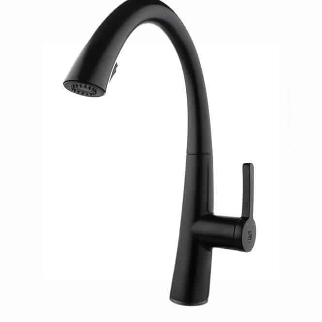 ברז פרח נשלף בגימור שחור מט, דגם 1053CB – עם ראש דו-מצבי ורשת סינון פנימית