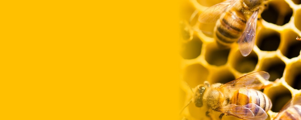 Bee Banner