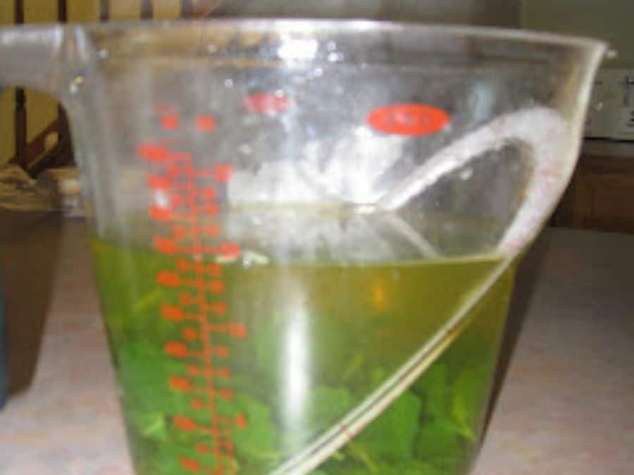 Image shows mixture in the measuring cup.