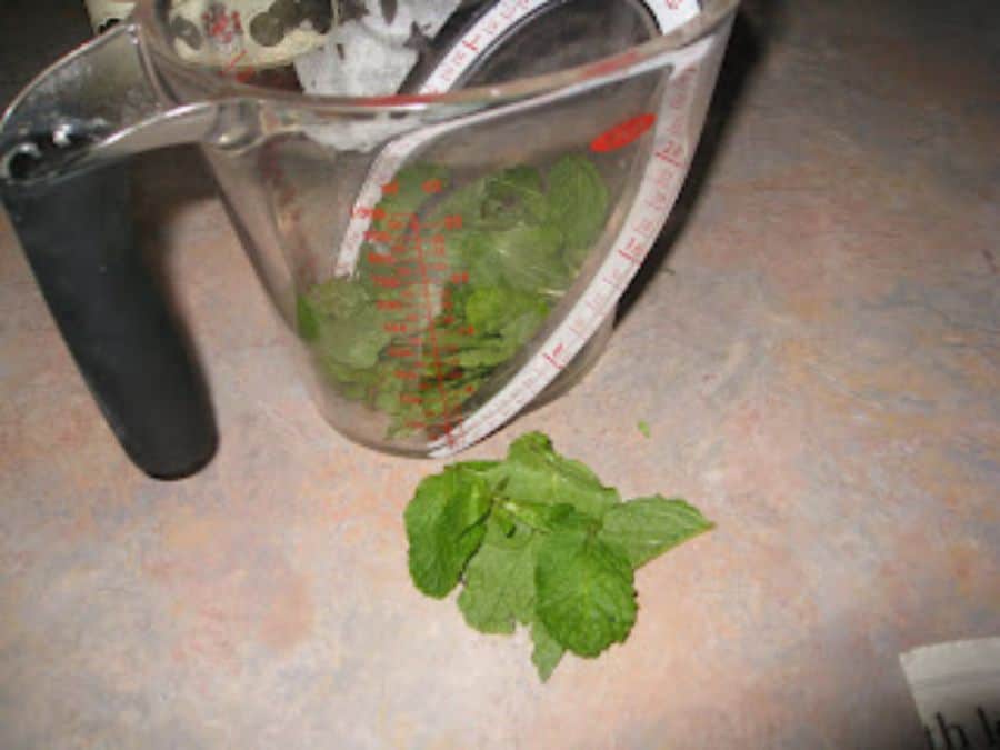 Image shows set aside mint leaves.