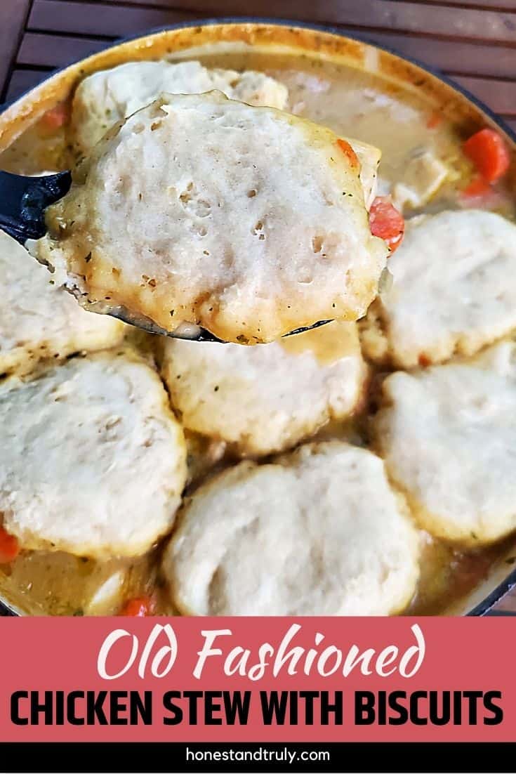 Chicken Stew being scooped from a pot