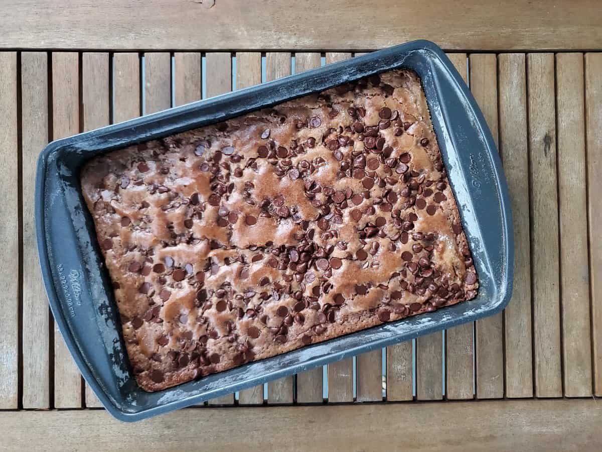 Overhead shot of chocolate chip applesauce cake.
