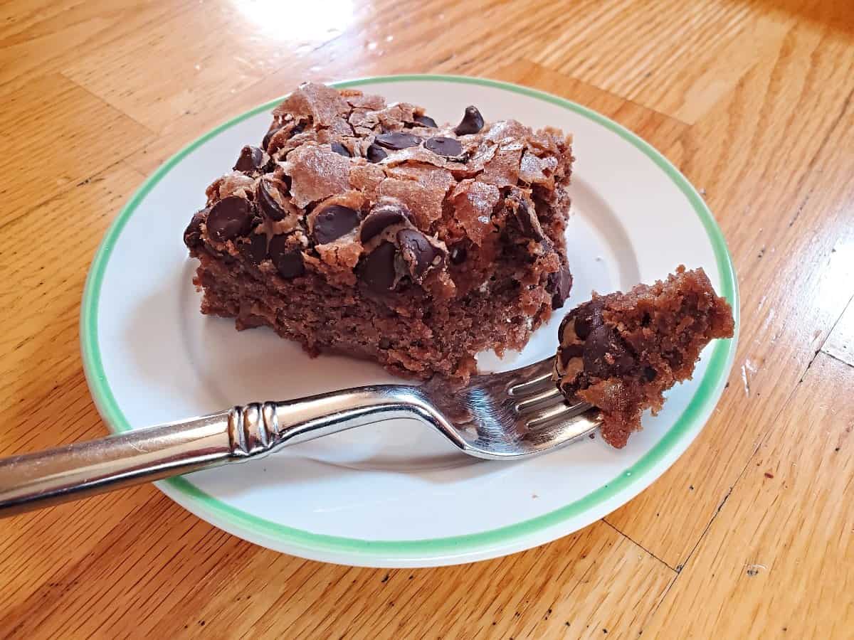 Slice of chocolate chip cake with a bite on a fork.