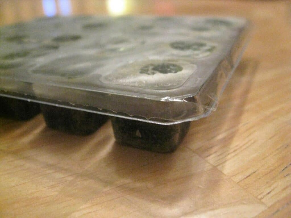 Image shows container that looks like an ice cube tray.
