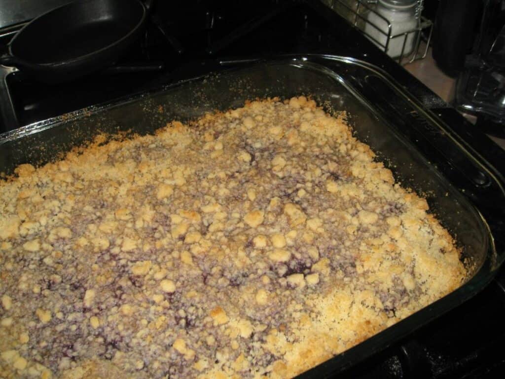 Image shows baked blueberry crumble bar in a baking pan.