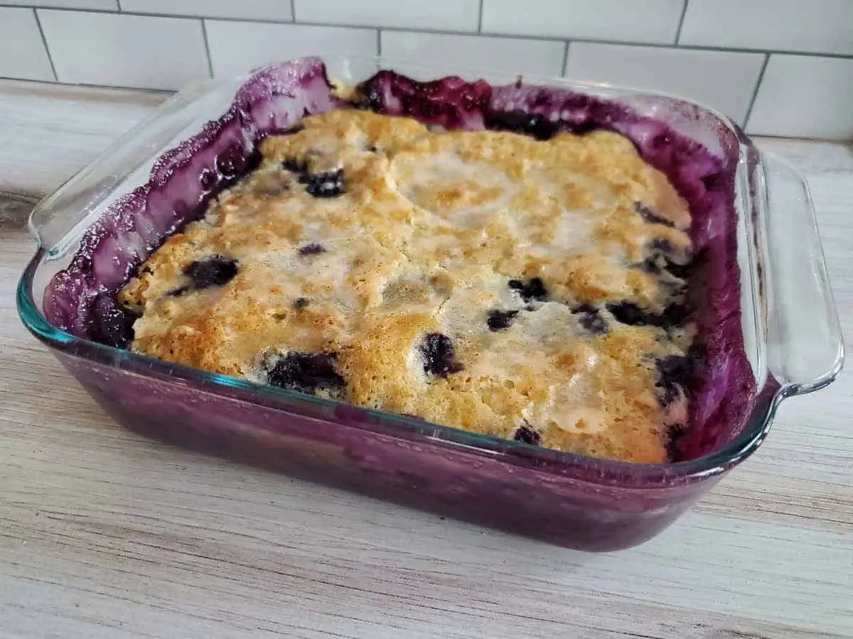 Head on shot of blueberry pudding cake.