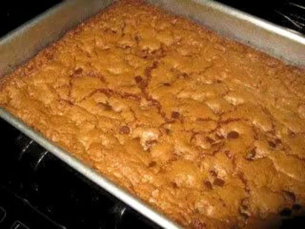 Image shows chocolate chip oat bars dough.