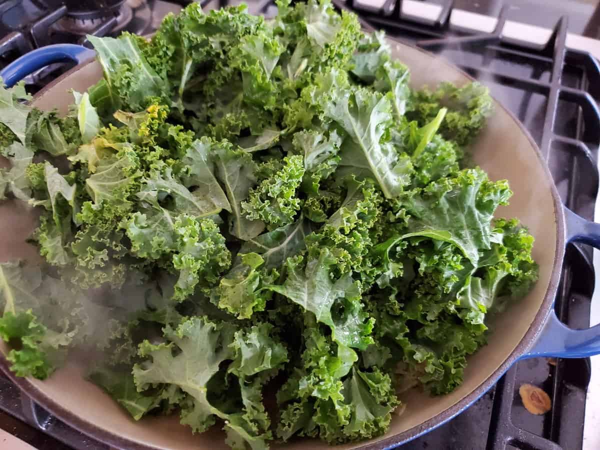 Blue pan filled with kale to cook.