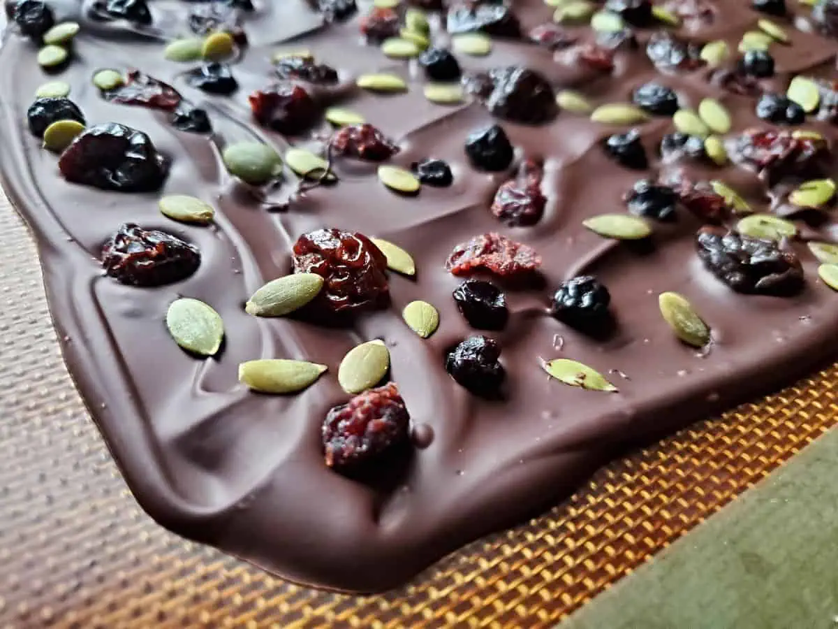 Hardened corner of dark chocolate bark with dried fruit and pepitas.