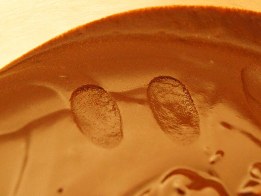 Image shows fingerprints on melted ingredients.