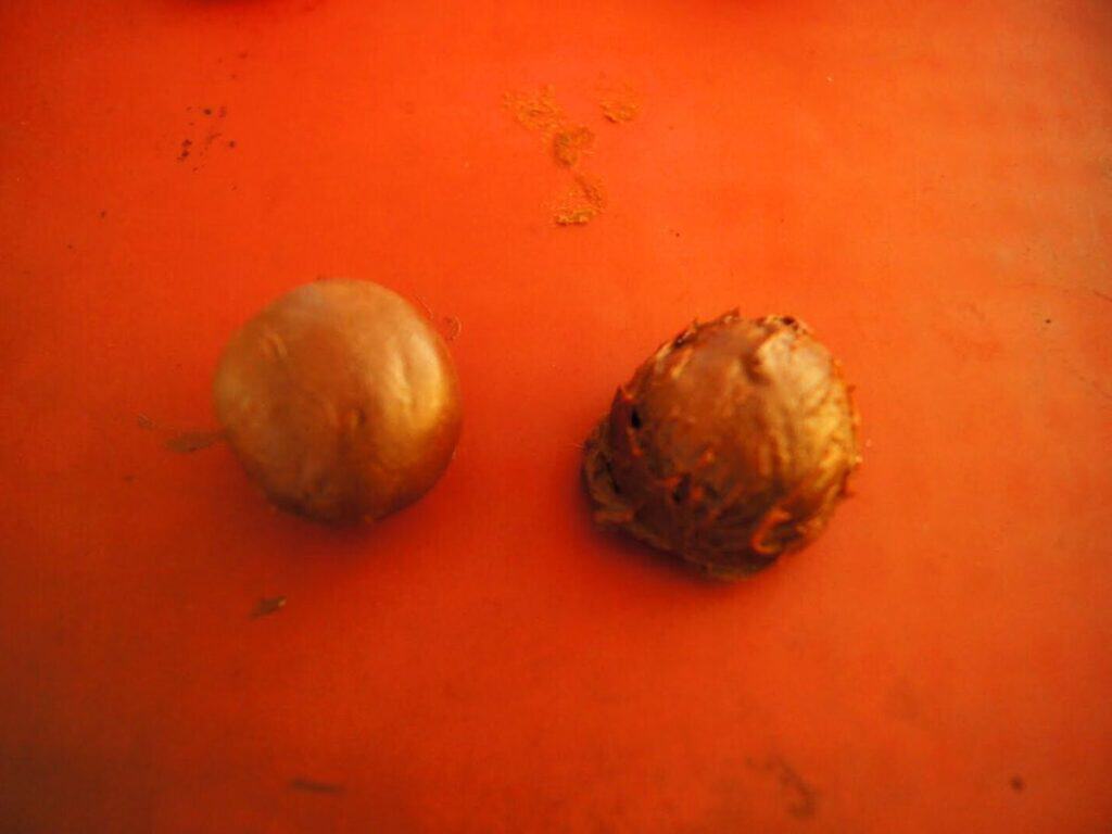 Image shows two pieces of truffles.