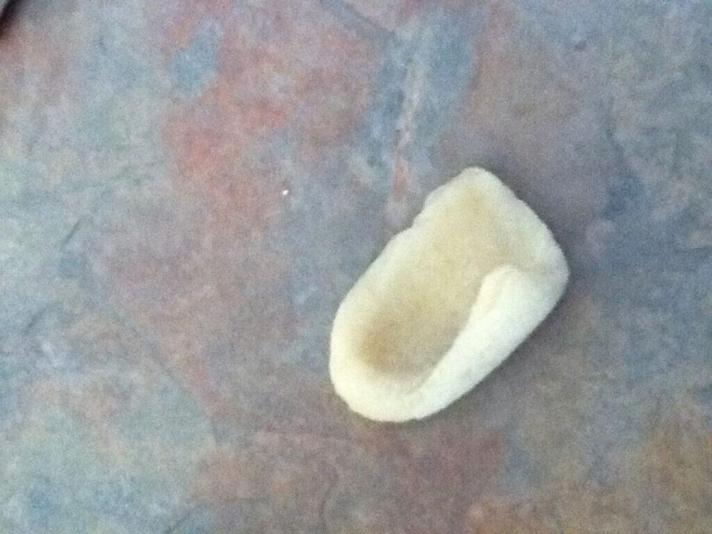 Image shows homemade orecchiette.