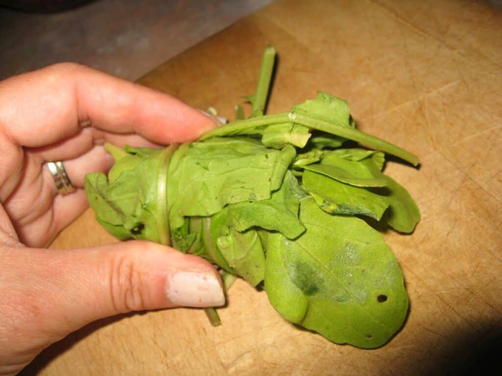 Image shows rolling for chiffonade.