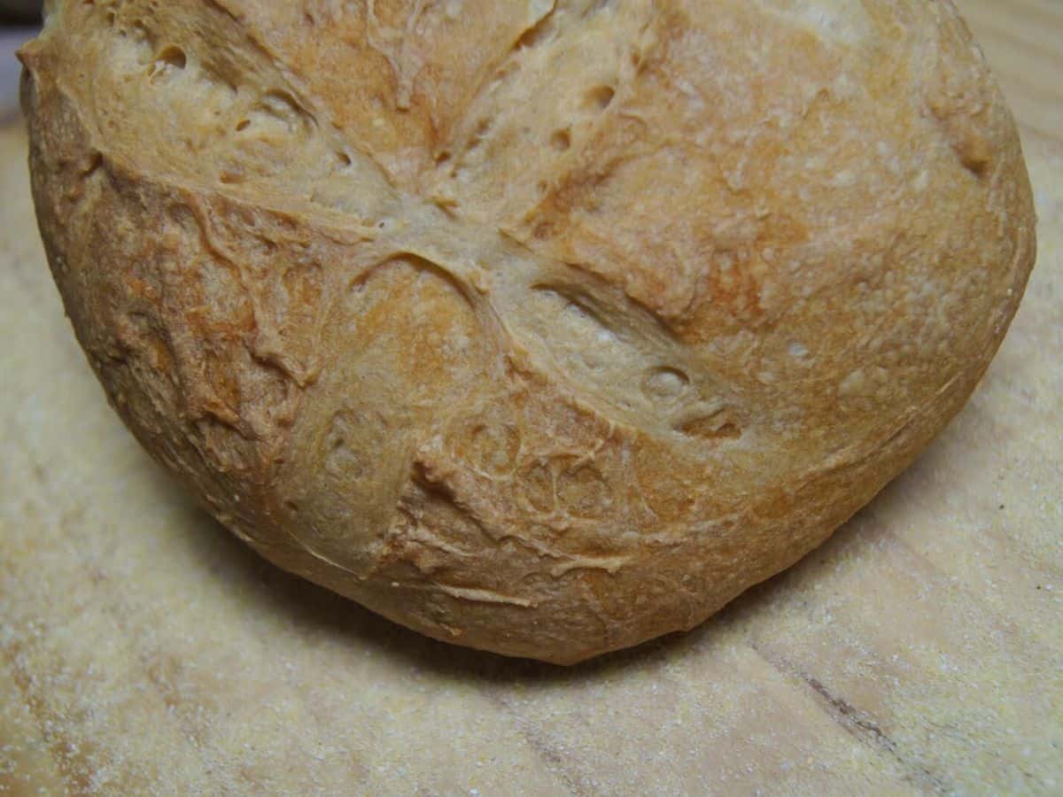 Image shows bread loaf.