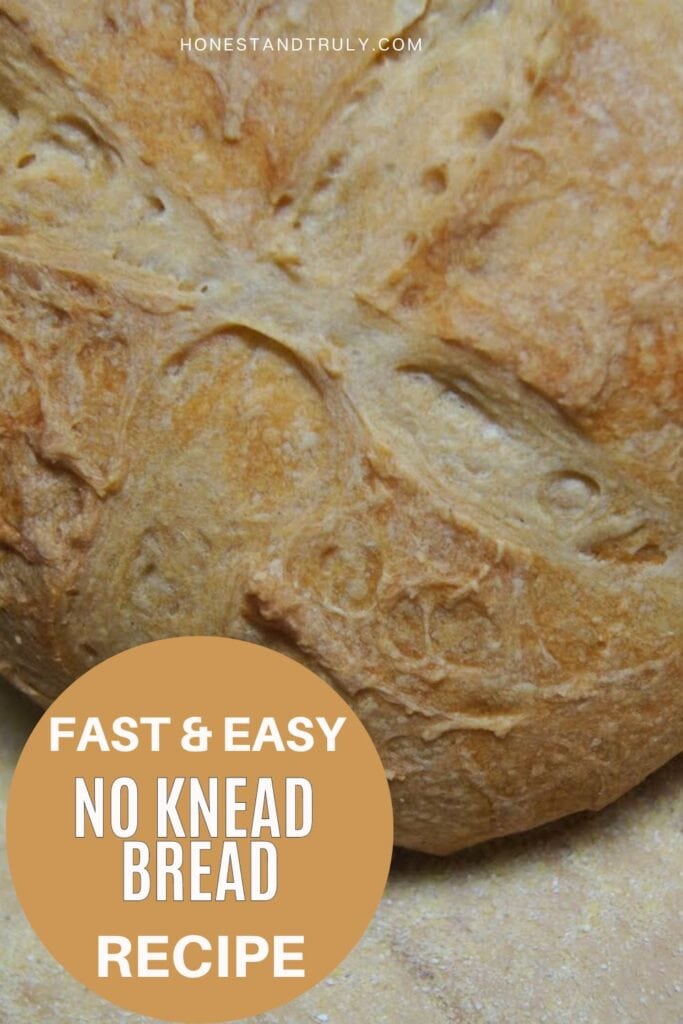 Image shows close-up picture of no knead bread.