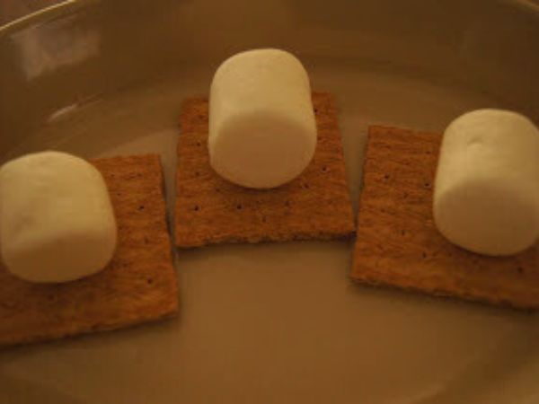 Image shows marshmallows on top of graham crackers.