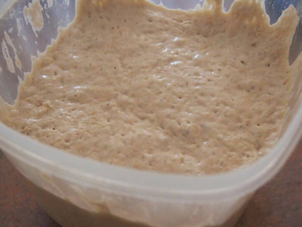 Image shows risen bread dough in a container.