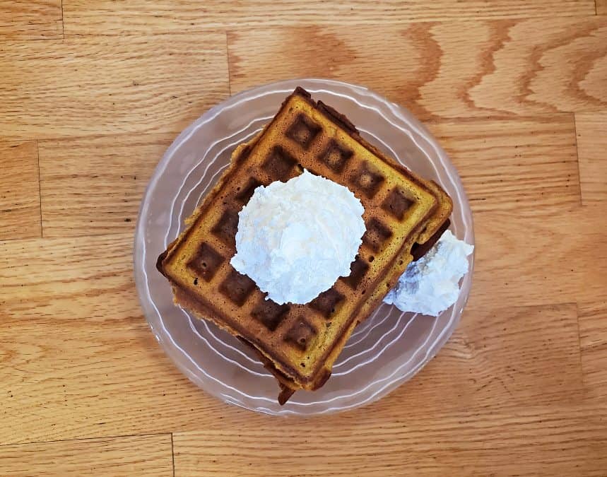 Pumpkin waffle on a plate with whipped cream