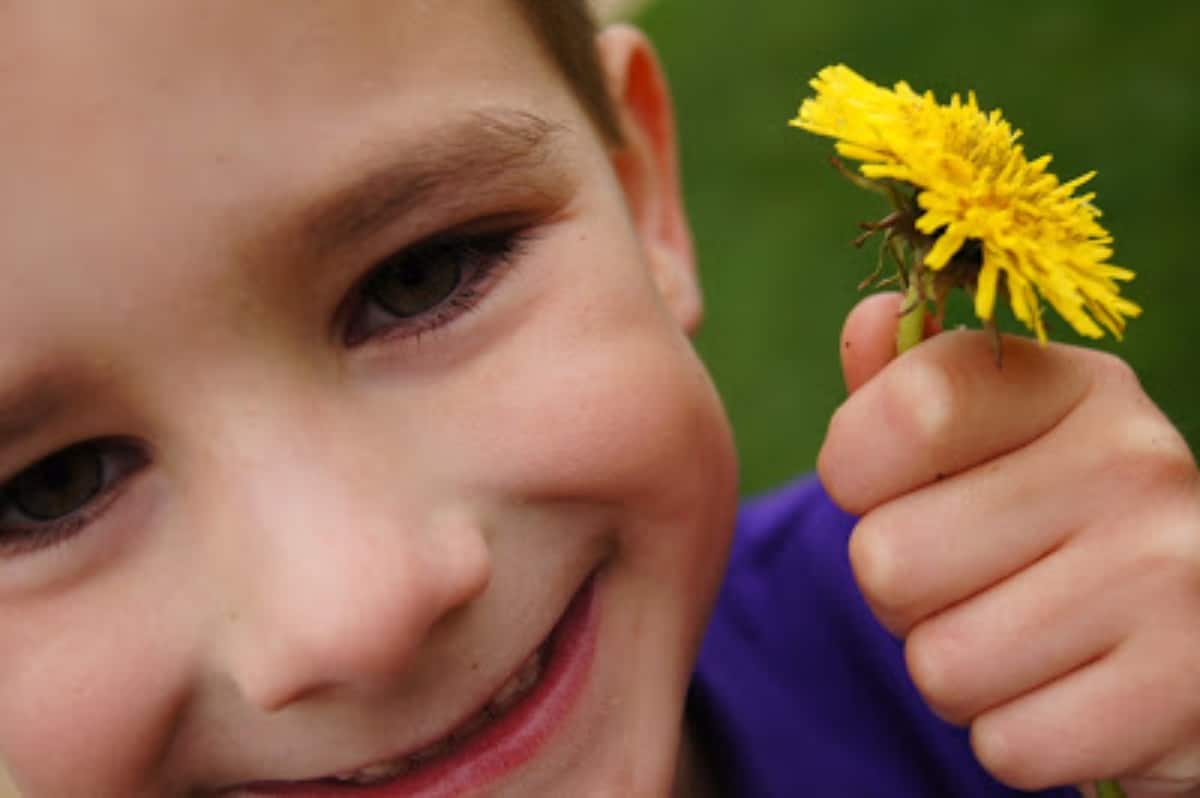 Boy holding a dandelion