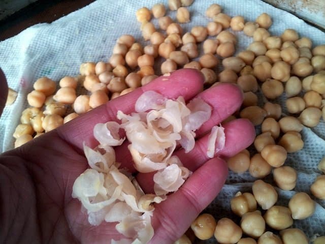Skins picked up from rolled chickpeas