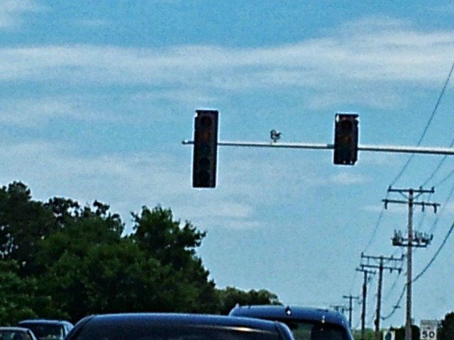 No power at the stoplight