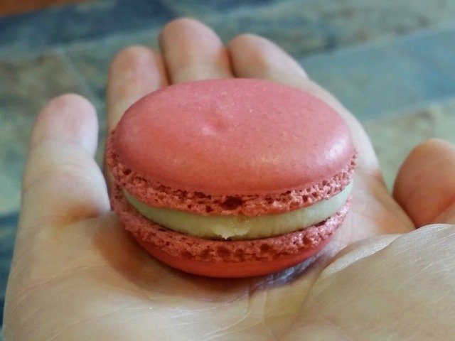 Pink macaroon in my hand