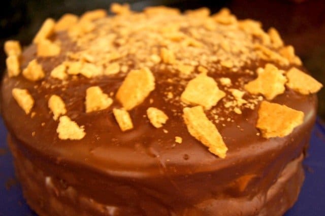Finished and decorated s'mores cake