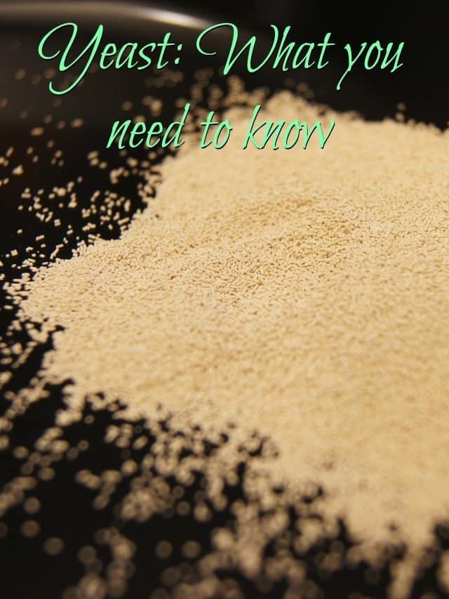 Afraid of yeast? You won't be after reading this!