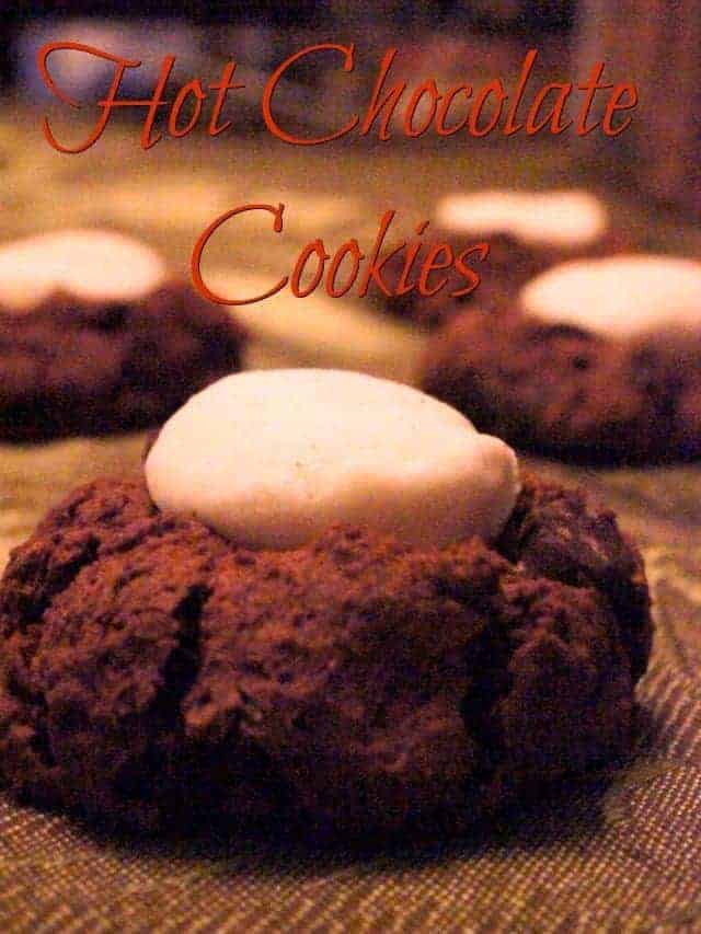 Hot chocolate cookies