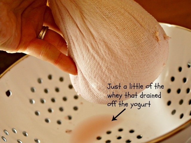Draining the whey off yogurt cheese