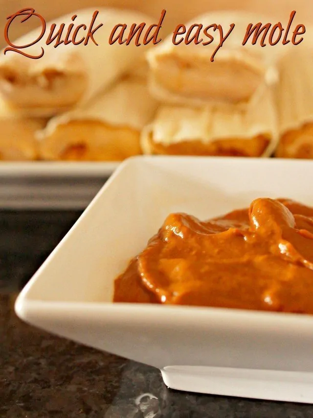 Quick and easy mole