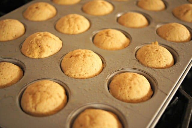 Green tea cupcakes ready to frost