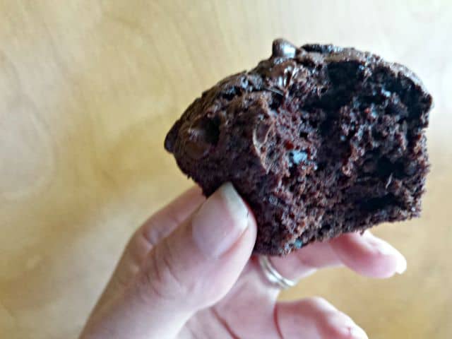 Bite out of a dairy free chocolate chip muffin