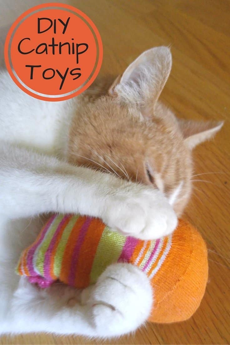 A quick and easy tutorial on how to make homemade Catnip Toys using unmatched socks and other easy supplies. The fastest DIY project ever.
