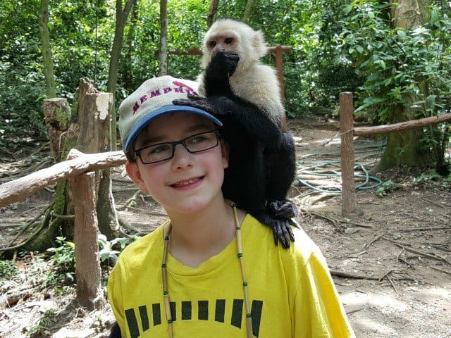 Enjoy a monkey climbing on you