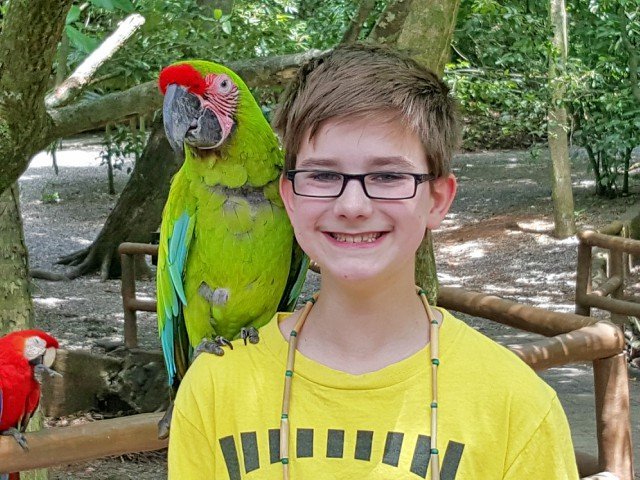 Everyone gets a parrot on the shoulder