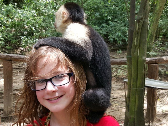 Hang out with the monkeys in Honduras in the Pirates Birds and Monkeys excursion