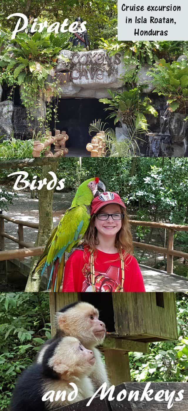 Pirates Birds and Monkeys is a once in a lifetime shore excurions to experience when you cruise into Isla Roatan Honduras. Fun for all ages, and not overly expensive, this review shares all you need to know.