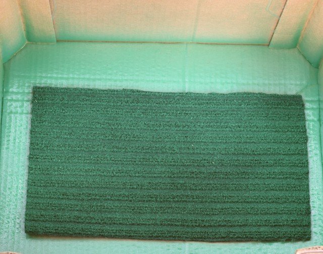 Spray paint rug to create an artificial turf look