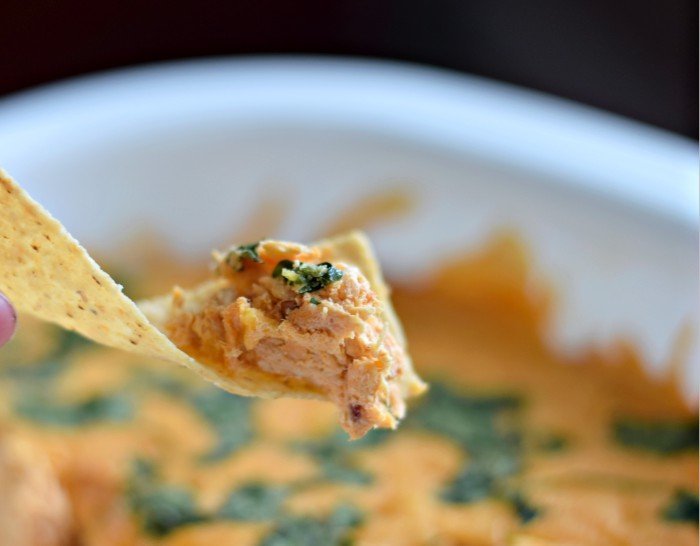 Bite of delicios smoky cheesy chicken enchilada dip