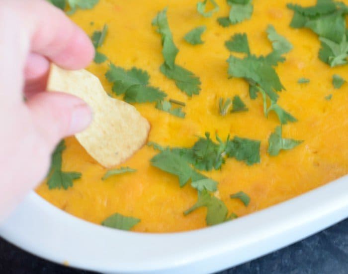 Smoky cheesy chicken enchilada dip recipe ready to eat
