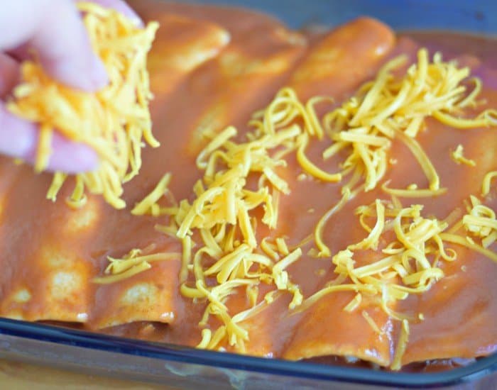 Image shows baked cheesy chicken enchiladas in a blue Pyrex casserole.